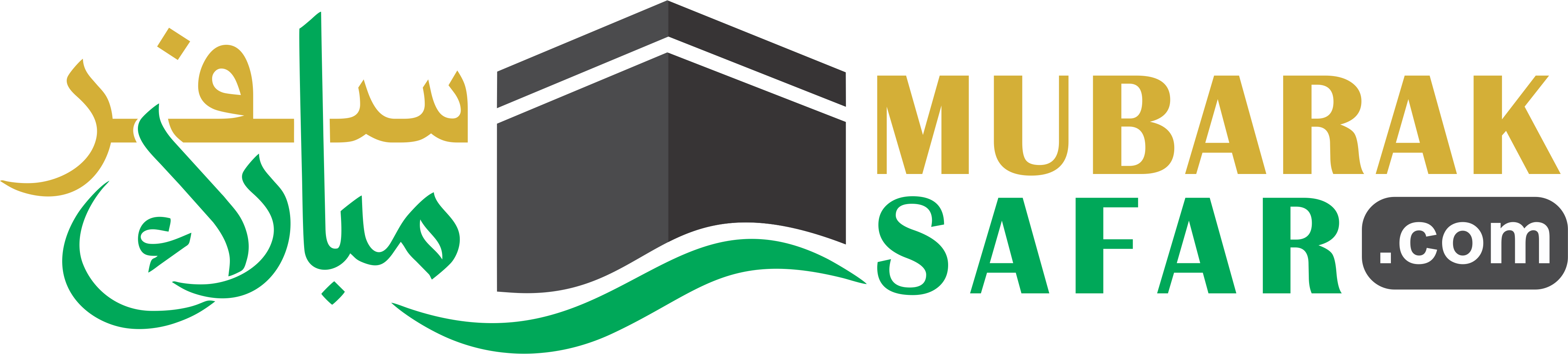 ms-logo (1)